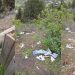 CC de Breña Baja denuncia el abandono y la mala imagen del Mirador de la Montaña de La Breña