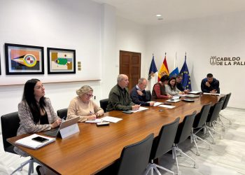 Puerto Naos y La Bombilla alcanzan las 1.166 viviendas autorizadas bajo vigilancia continua