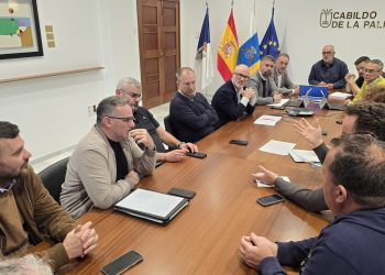 Cabildo, Gobierno y ayuntamientos planifican las infraestructuras clave para la reconstrucción agraria