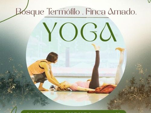 Bienestar para arrancar el año: Breña Baja recupera los cursos de Yoga y Pilates de Sonia Lorenzo en entornos únicos