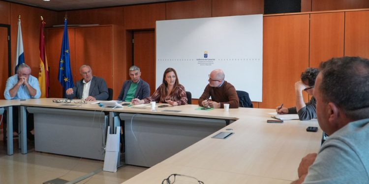 Gobierno y Asepalma urgen al Estado a financiar la red de riego y pistas para reactivar las fincas tras el volcán
