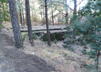 El PSOE de El Paso propone mejoras en la seguridad del Llano de Las Cuevas y la conservación de ‘El Barbate’ del Barranco de Herrera