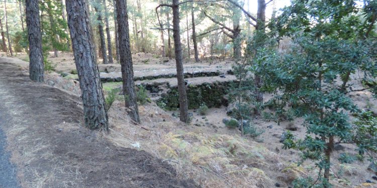 El PSOE de El Paso propone mejoras en la seguridad del Llano de Las Cuevas y la conservación de ‘El Barbate’ del Barranco de Herrera