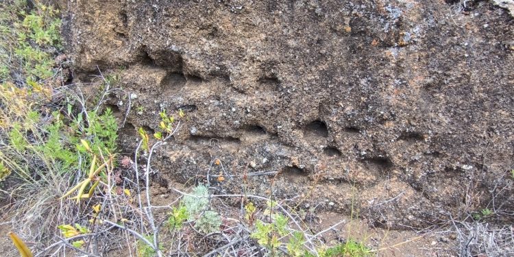 Hallazgo histórico en Puntallana: Un complejo ritual awara con ‘puertas falsas’ y alineaciones solares únicas en Canarias