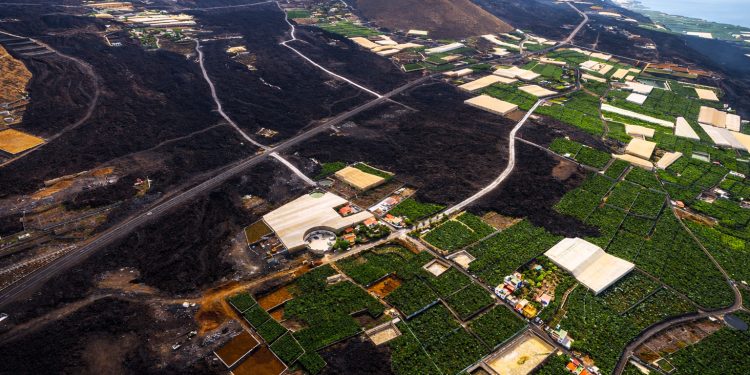 ASEPALMA celebra el cumplimiento del Gobierno canario con los agricultores afectados del volcán y reclama al Estado los fondos pendientes para completar la reconstrucción