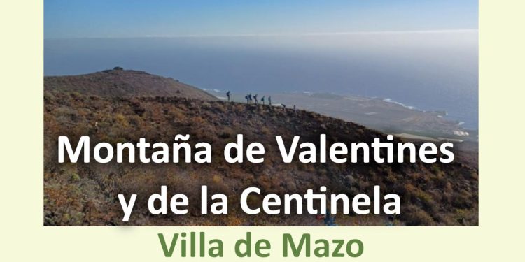 Nueva batalla contra el rabo de gato en Mazo: el colectivo SinRaboGato convoca su acción número 114 en Valentines y la Centinela