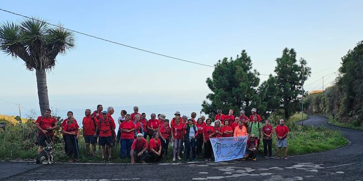 El Club de Caminantes El Atajo organiza la octava etapa de la vuelta a la isla por el GR130 entre Franceses y Barlovento