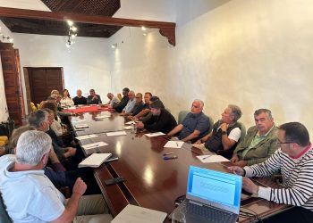 El futuro del sector primario en La Palma depende de una inversión final de 224 millones de euros para el Valle de Aridane