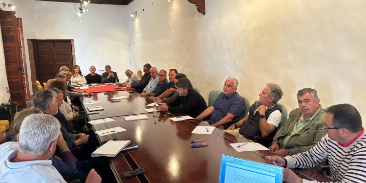 El futuro del sector primario en La Palma depende de una inversión final de 224 millones de euros para el Valle de Aridane