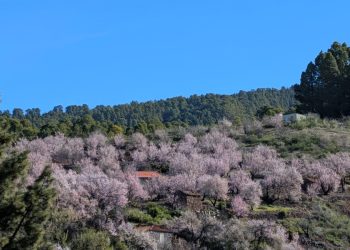 Estabilidad absoluta en La Palma: el anticiclón garantiza una semana de cielos despejados y temperaturas suaves