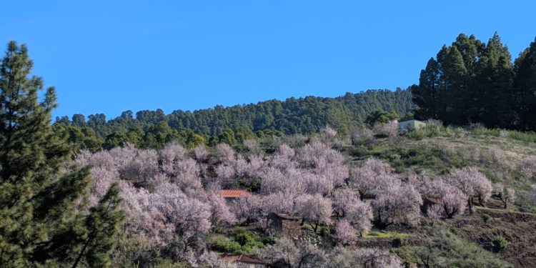 Estabilidad absoluta en La Palma: el anticiclón garantiza una semana de cielos despejados y temperaturas suaves