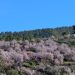 Estabilidad absoluta en La Palma: el anticiclón garantiza una semana de cielos despejados y temperaturas suaves