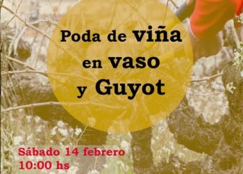 Garafía impulsa el sector vitivinícola con formación práctica en técnicas de poda en vaso y Guyot este sábado