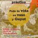 Garafía impulsa el sector vitivinícola con formación práctica en técnicas de poda en vaso y Guyot este sábado