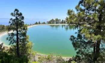 Respiro para el campo palmero: las lluvias de enero disparan las reservas y las balsas rozan ya el 50% de llenado