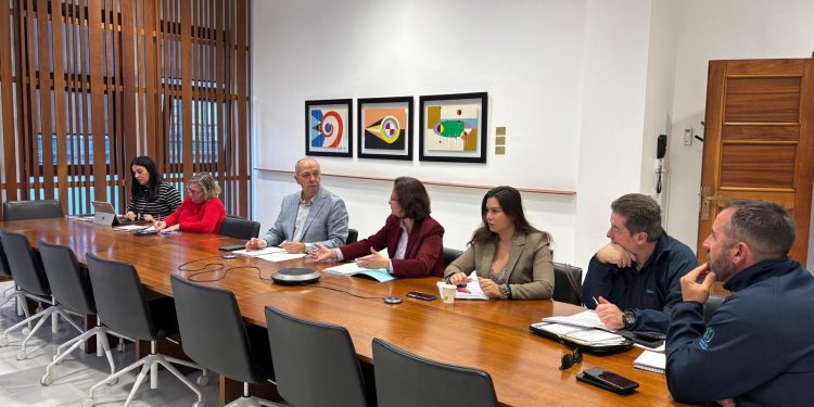 Paso decisivo en Puerto Naos: tres de cada cuatro garajes analizados ya cuentan con el visto bueno técnico para su uso