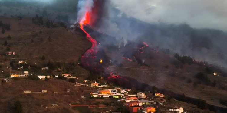 Tierra Bonita pide transparencia en Tenerife sobre el riesgo volcánico tras la reactivación sísmica en Las Cañadas