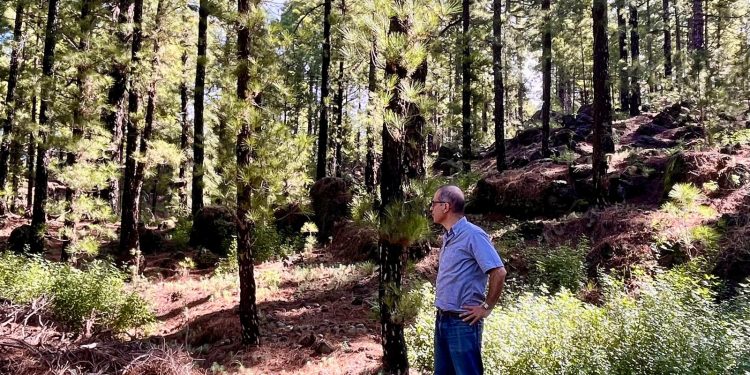 Héctor Izquierdo visita en El Paso las zonas de exploración de energía geotérmica que transformarán el modelo energético de La Palma