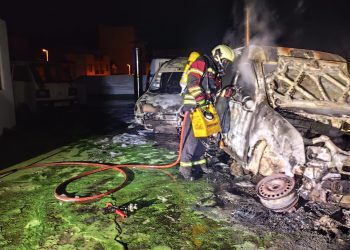 Balance de seguridad en La Palma: de la vigilancia en los Carnavales a la lucha contra el fuego