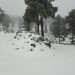 El invierno se despide con furia de la palma: activada las alertas y suspensión de deportes y diversas actividades por precaución