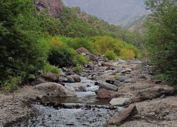 Vientos de más de 100 km/h y daños en infraestructuras marcan el cierre del sábado de temporal en la palma