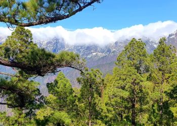 Vientos de más de 100 km/h y daños en infraestructuras marcan el cierre del sábado de temporal en la palma