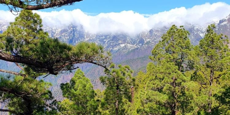 Vientos de más de 100 km/h y daños en infraestructuras marcan el cierre del sábado de temporal en la palma
