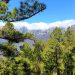 Vientos de más de 100 km/h y daños en infraestructuras marcan el cierre del sábado de temporal en la palma