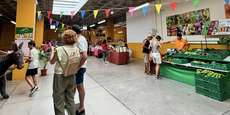El futuro de los agricultores de Breña Alta, a la espera del Agromercado: exigen plazos reales para su apertura en este 2026