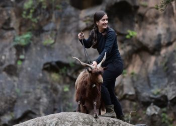 El Cabildo de La Palma propone a la ganadera Brenda Rodríguez para el Premio Insular 2026
