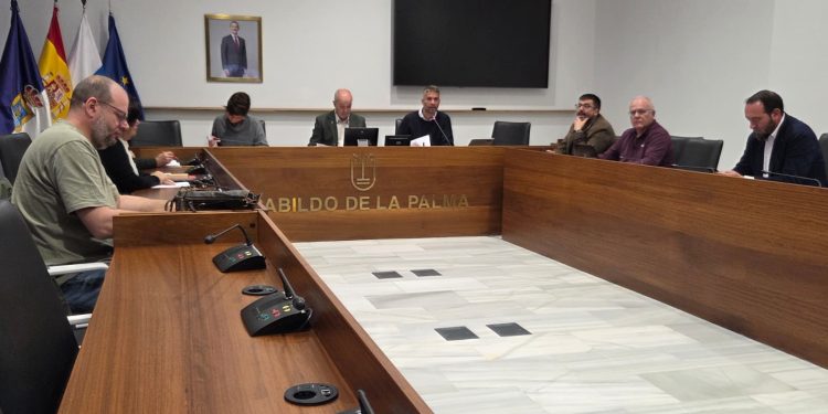Inversión de 1,4 millones para blindar la seguridad del Barranco de Tenisca en Tazacorte