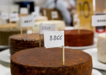 Cinco quesos canarios entre los mejores de españa: las cuevas de la palma llega a la gran final