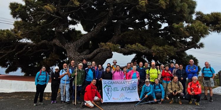 Naturaleza y tradición en Breña Baja: la caminata entre La Sabina y El Atajo abre sus inscripciones