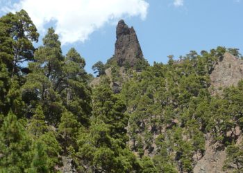 Roque idafe; el guardián de la armonía natural