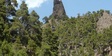 Roque idafe; el guardián de la armonía natural
