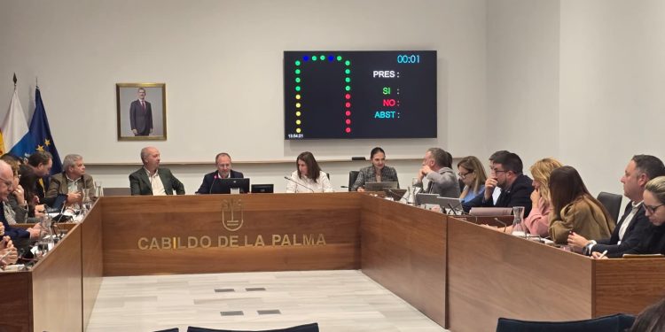 El Cabildo de La Palma defiende el blindaje del POSEI frente a los recortes propuestos por la Unión Europea