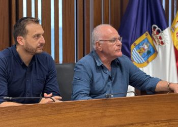 ¿Sin taxis en la capital cuando hay cruceros? Exigen al Cabildo que priorice a los vecinos ante el colapso del servicio en la ciudad