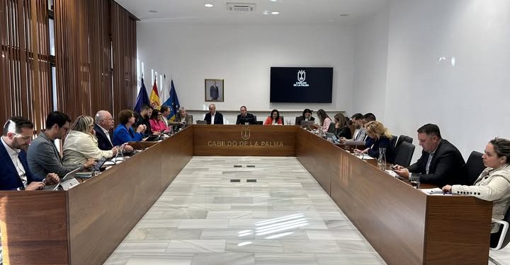 El Cabildo debate hoy la ampliación del complejo ambiental de Los Morenos y la nueva tasa de transportes