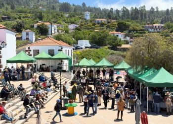 Brilla el sol en la feria del queso de Las Tricias: una explosión de sabor en la Villa de Garafía