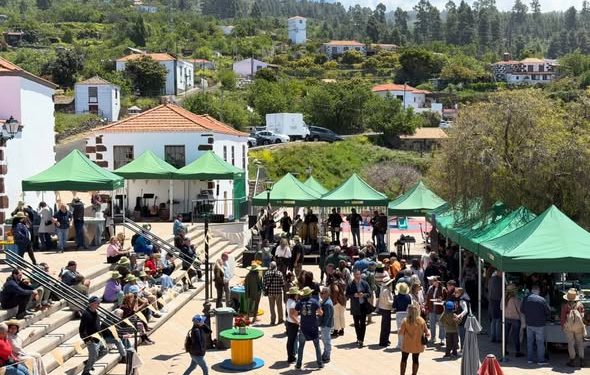 Brilla el sol en la feria del queso de Las Tricias: una explosión de sabor en la Villa de Garafía
