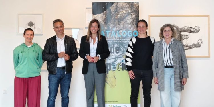 El Museo Insular se convierte en un laboratorio ambiental para combatir la crisis ecosocial a través del arte