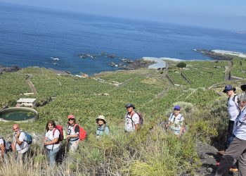 El C. D. de Caminantes “El Atajo” celebra 20 años de historia como referente del senderismo en La Palma