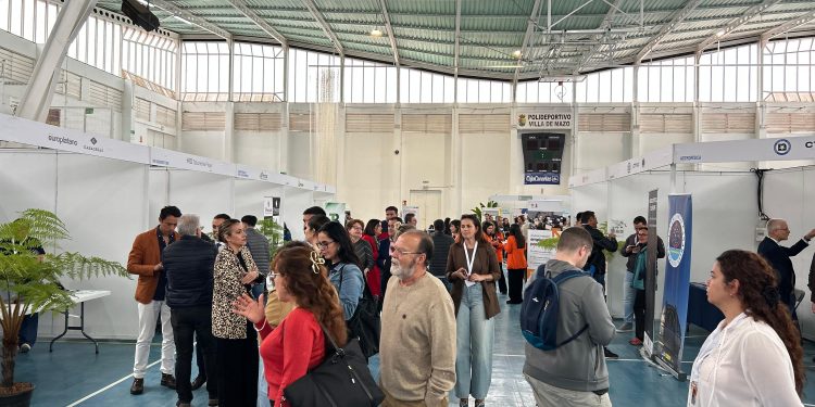 Mazo se convierte en el epicentro del trabajo en la isla: arranca la II Feria de Empleo, Formación y Emprendimiento