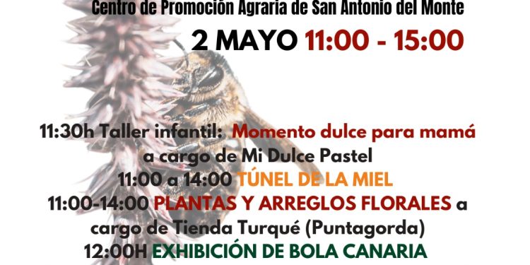 El Mercadillo de Garafía celebra el sábado su edición de mayo dedicada a la miel y a la bola canaria
