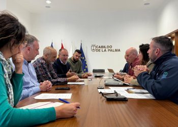 La Palma blinda los derechos de sus animales: nace la Mesa Insular de Bienestar Animal para coordinar emergencias y protección