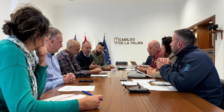 La Palma blinda los derechos de sus animales: nace la Mesa Insular de Bienestar Animal para coordinar emergencias y protección
