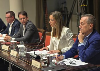La Palma pide en el Parlamento que las ayudas por la crisis internacional tengan en cuenta la «triple insularidad» de la isla