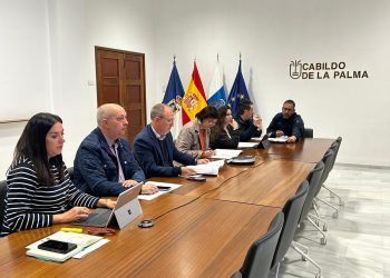 Puerto Naos avanza hacia la recuperación del sector comercial con más de 40 locales autorizados