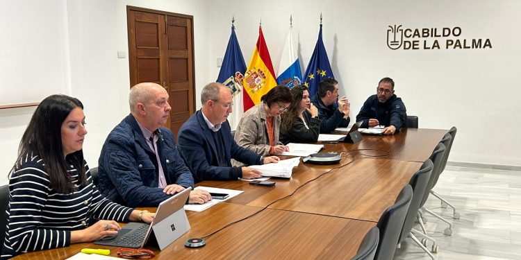 Puerto Naos avanza hacia la recuperación del sector comercial con más de 40 locales autorizados