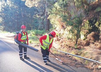 El Cabildo de La Palma activa 195 contratos con el Plan Integral de Empleo y refuerza servicios sociales, obras y medioambiente